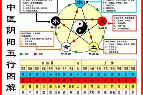 海中金命 屋上之鼠|1984年属鼠：木鼠命与海中金命详解